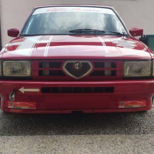 Alfa Romeo Alfa 33 Group A à vendre (1)