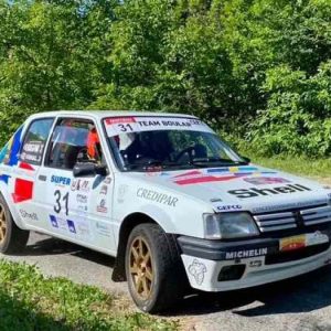 Peugeot 205 GTI FRally Nat F2000/14 (1)