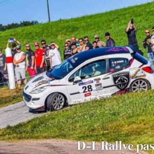 207 rc A8 / F2015 (1)