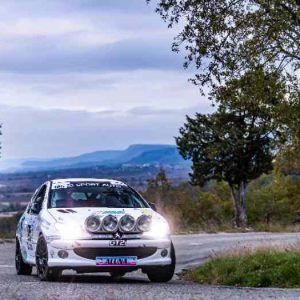 206 RC A7 moteur bloqué (1)