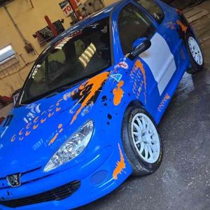 206 ex coupe f2013 (1)