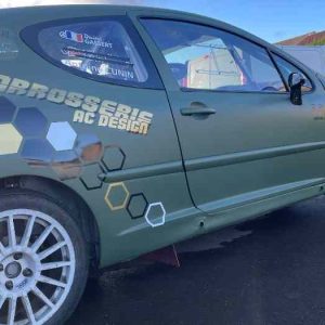 Peugeot 207 f2/15 (1)