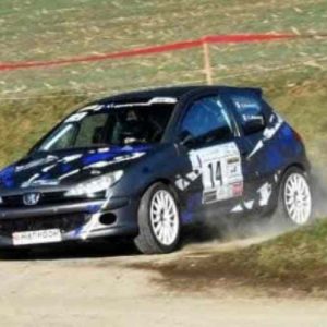 PEUGEOT 206 F2014 Boîte séquentielle 6 (1)