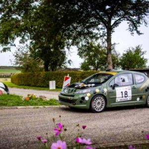 Peugeot 207 f2/15 (1)