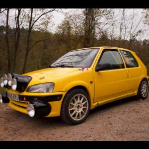 Peugeot 106 1.6 8v 121cv (1)