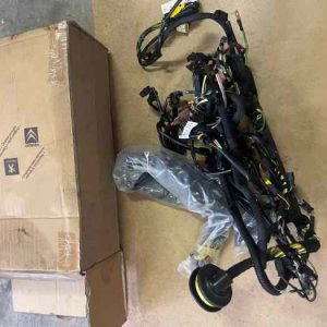 Faisceau principal 207 RC (1)