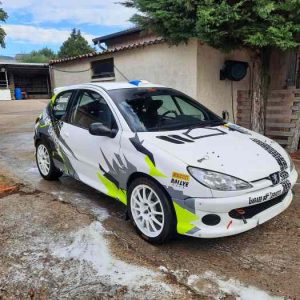 206 top GN 3 urgent !!!! (1)