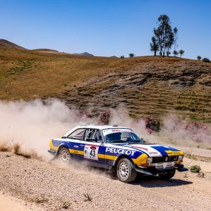 Peugeot 504 Gr.5 (1)