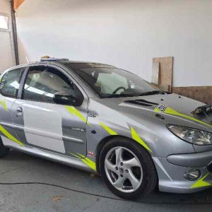 Peugeot 206 N2S (1)