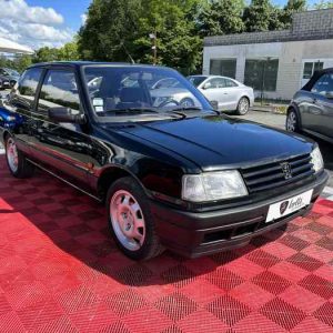 PEUGEOT 309 GTI (1)