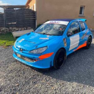 206 MAXI F2014 (sans moteur,boite) (1)