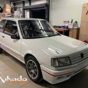 309 16V Gr. A / PTH-FIA International (1)