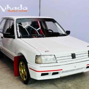 309 16V petite Groupe A / PTH FIA (1)