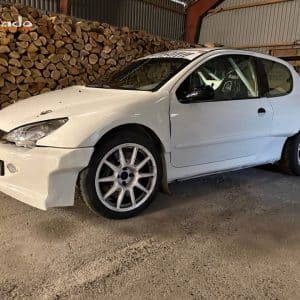 Peugeot 206 Maxi 270 ch, championne du Danemark de sprint