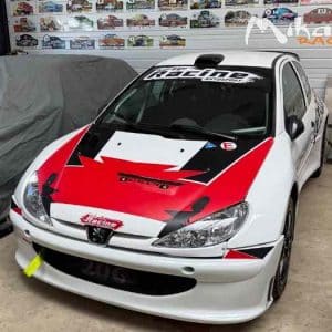 Peugeot 206 S1600 Full Evo