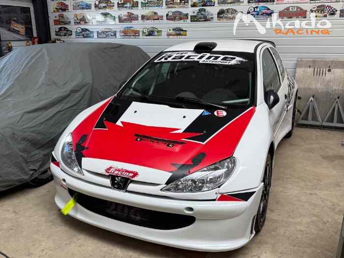 Peugeot 206 S1600 Full Evo