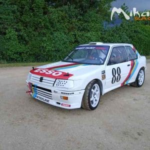 Peugeot 309 GTI turbo · préparation circuit F2000 (XU10J2TE)