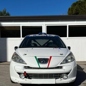 Peugeot 207 RC R3T 2009, préparation Peugeot Sport, catégorie R3