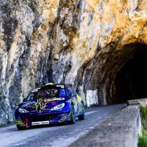 Peugeot 206 F2000 (F2/14) · moteur maxi Leny 288 ch